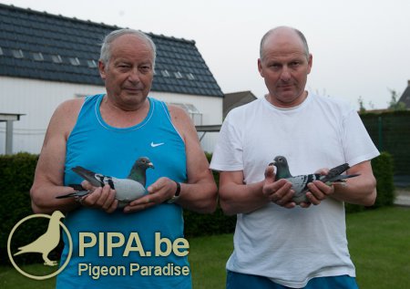 Freddy & Jacques Vandenheede, 2nd & 4th National Ace Pigeon Extreme Long Distance 2014